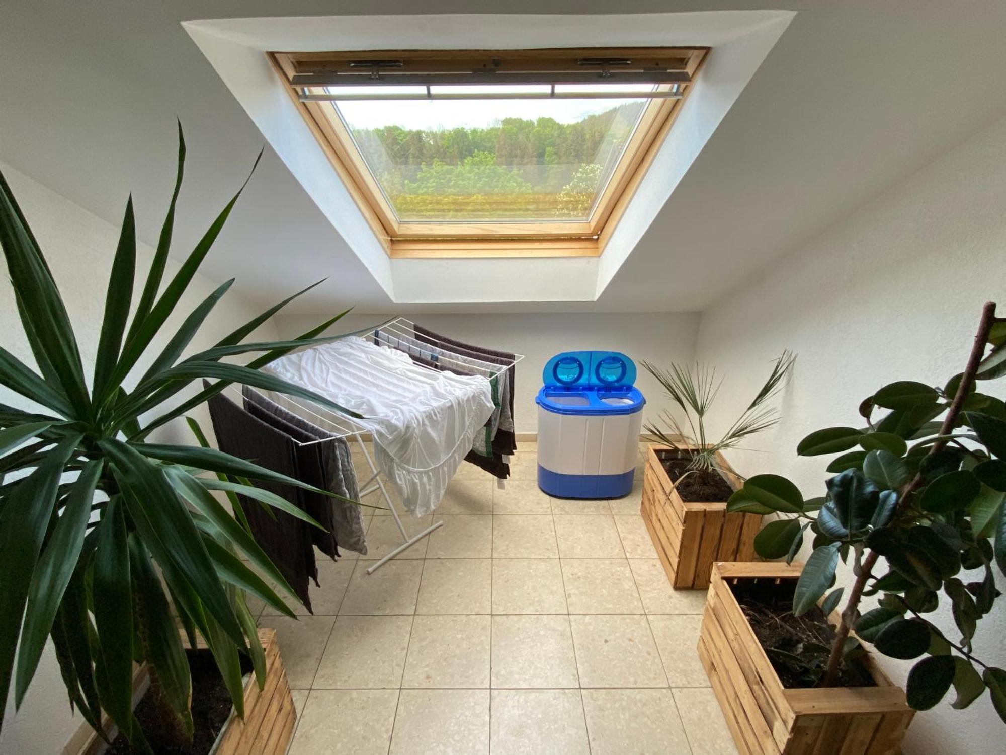 Fewo Skywalk Willingen Stryck Exterior foto